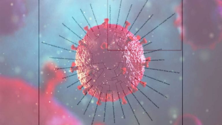 MSM Tries To Suppress Evidence That HIV Delivery System Is Embedded In Coronavirus