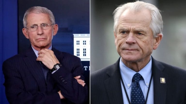Peter Navarro Explodes At Fauci In Heated Showdown Over Hydroxychloroquine